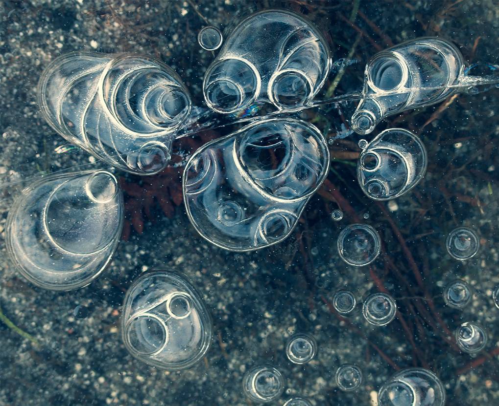 Dorchester, Dorset, Frozen Heathland Puddle...