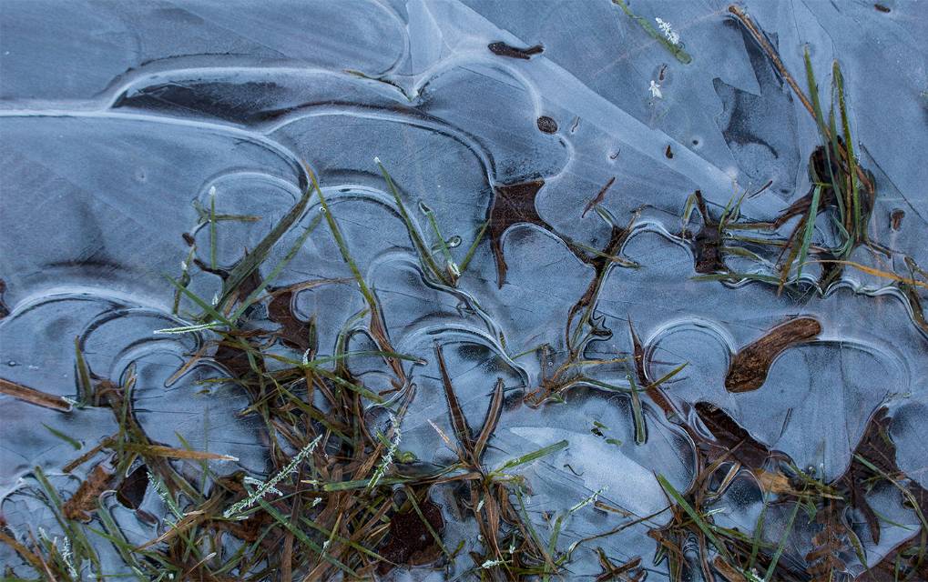 Dorchester, Dorset, Frozen Puddle...