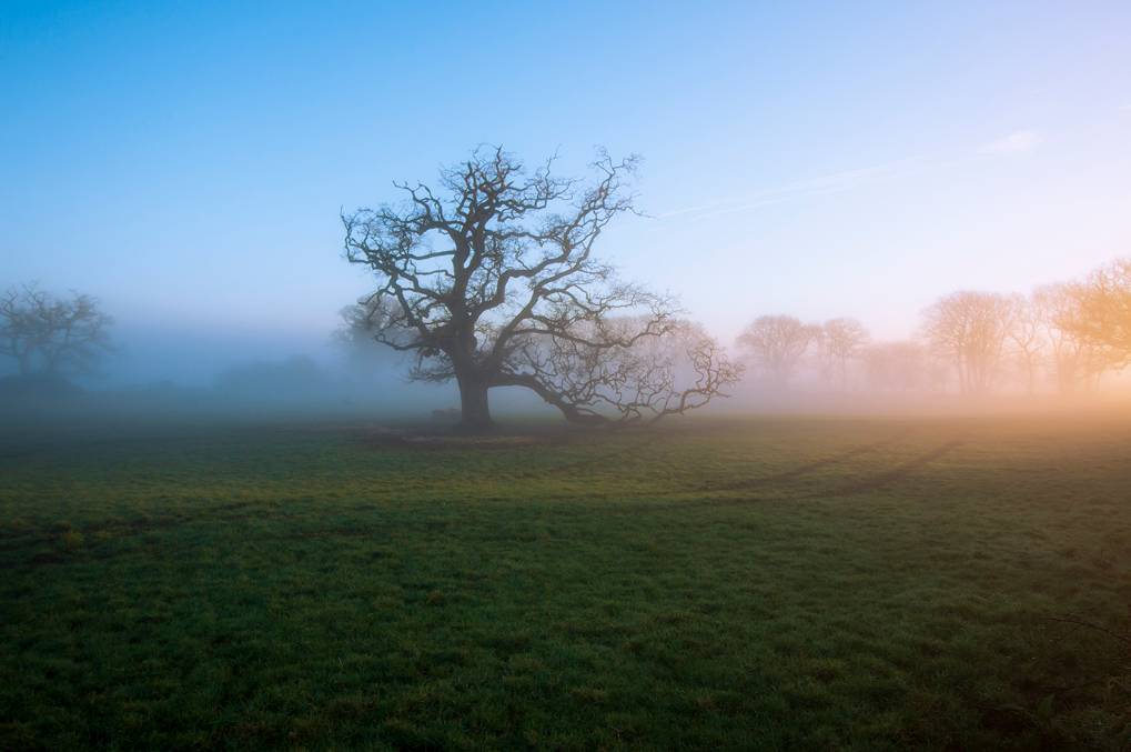 Wareham, Dorset, Misty Morning...