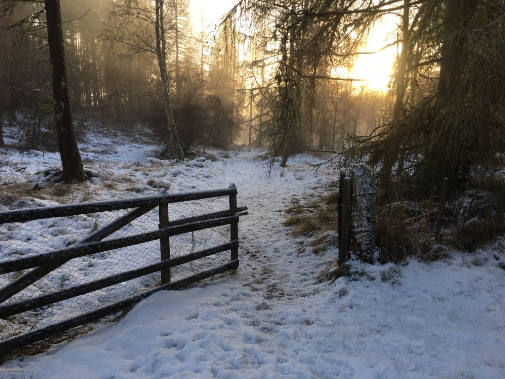 Grantown on Spey, Highland, Winter sunshine ...