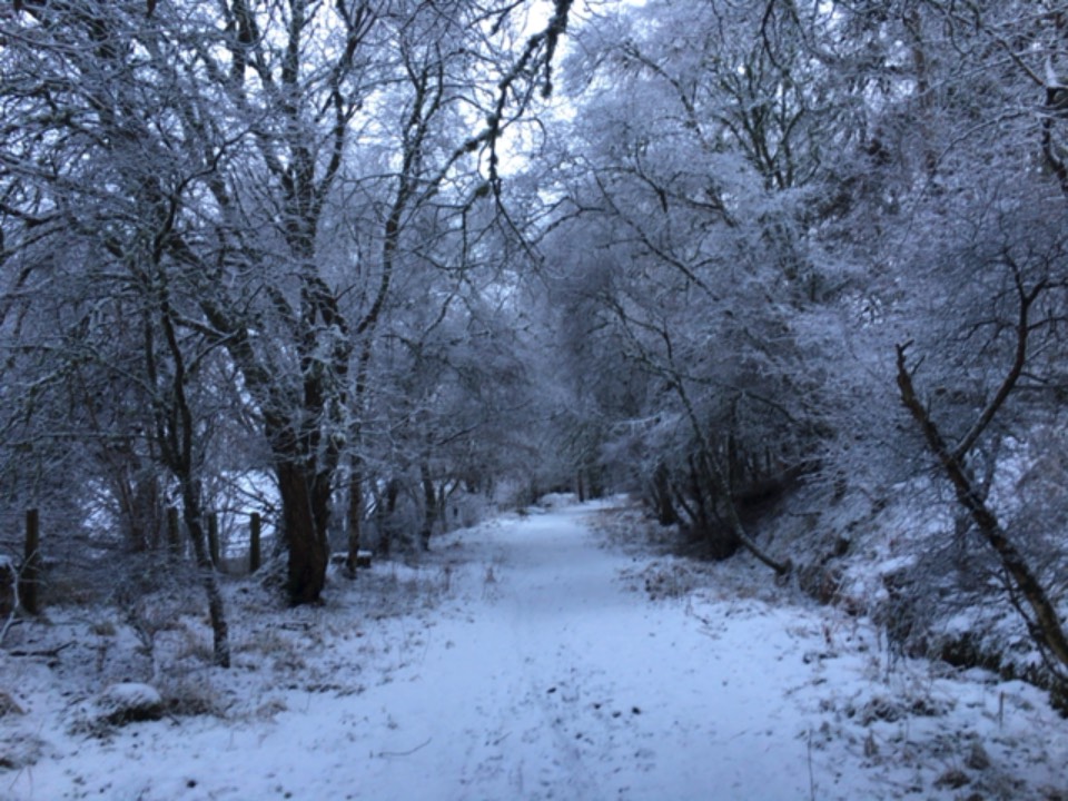 Grantown on Spey, , Morning walk in the snow ...