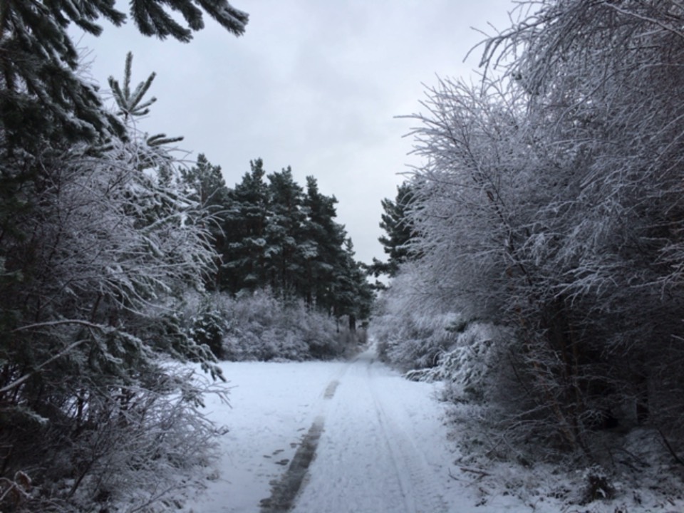 Grantown on Spey, , Snowy walk...