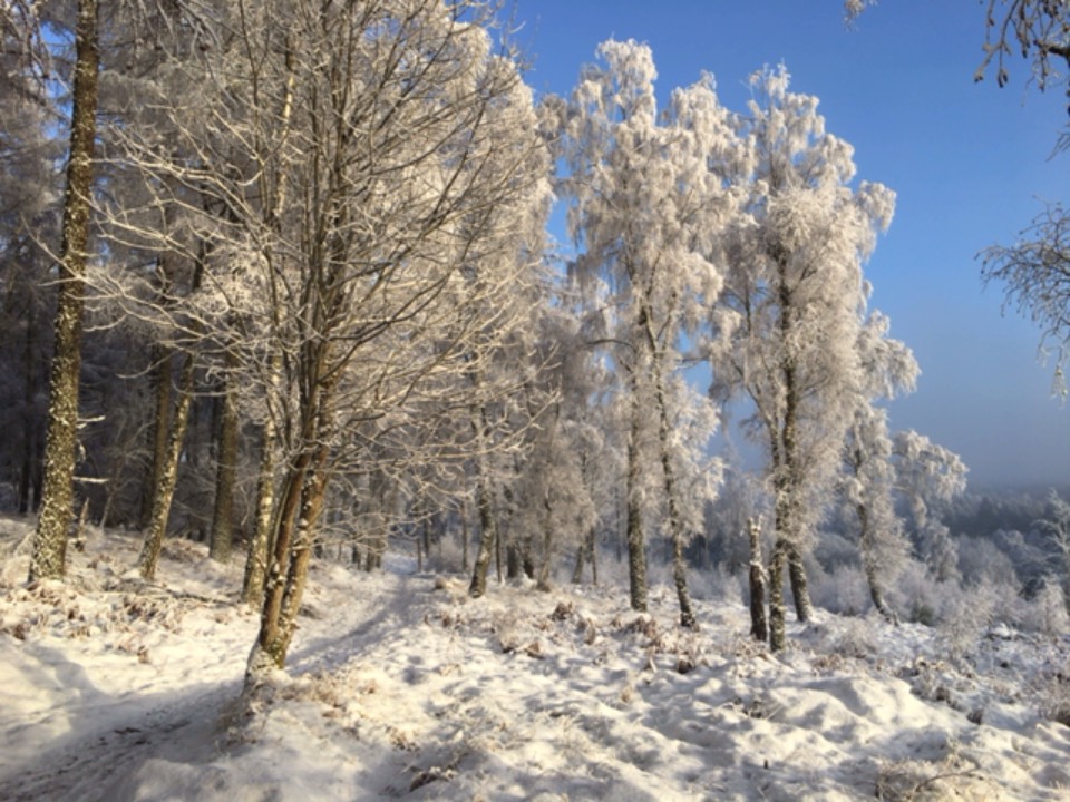 Grantown on Spey, , Snowy scene ...