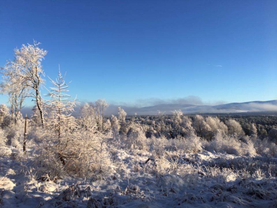Grantown on Spey, Highland, Winter wonderland ...