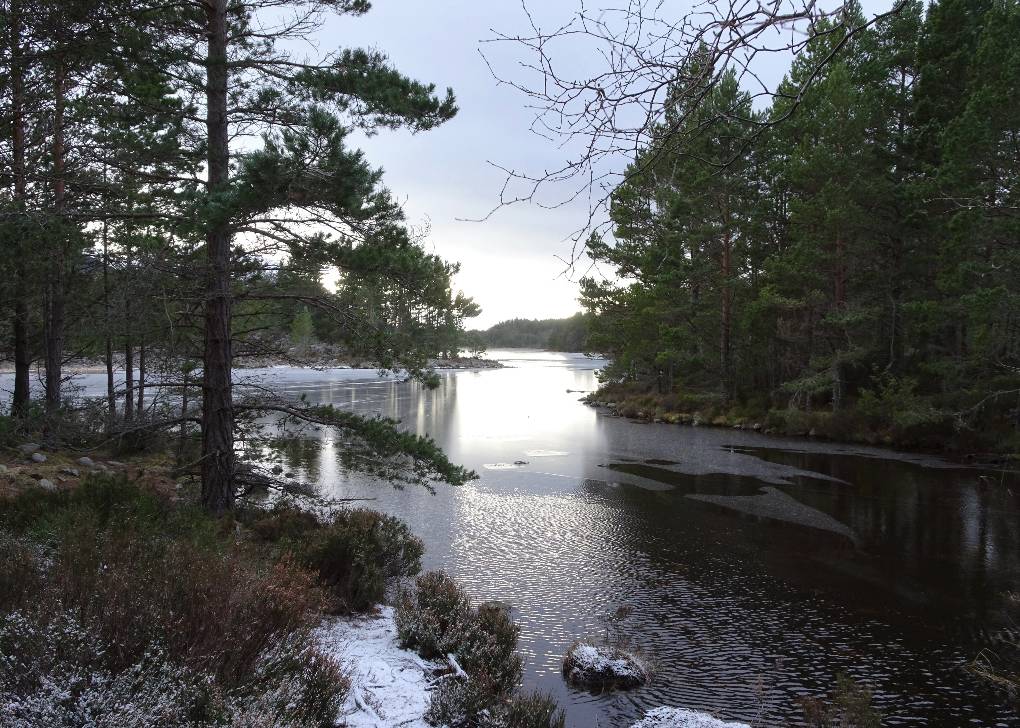 Aviemore, Strathspey, Looking out onto Loch Gamhna from the path around Loch an Eilein...