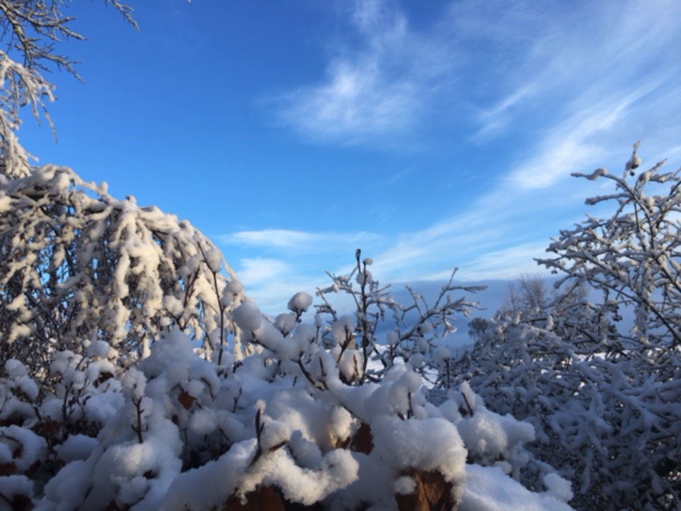 Grantown on Spey, , Another glorious snowy day ...
