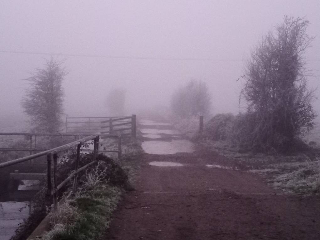 Bridgwater, Somerset, Freezing Fog on the Levels...