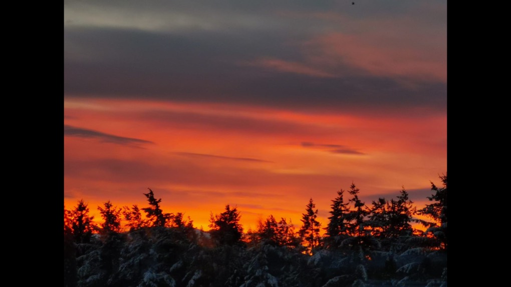 Grantown on Spey, Highland, Sunrise ...