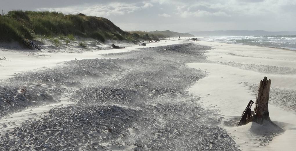 Forres, Moray, Windblown sand, Culbin Beach...