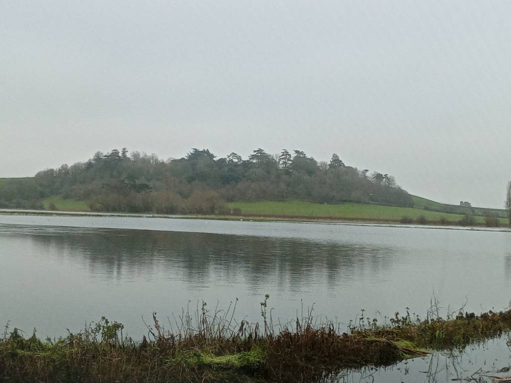 Bridgwater, Somerset, Receeding flood waters of Currymoor...