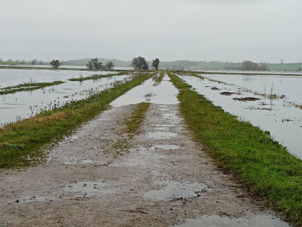 Bridgwater, Somerset, Receeding flood waters of Currymoor...