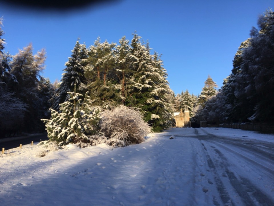 Grantown on Spey, , Gatehouse to Castle Grant ...