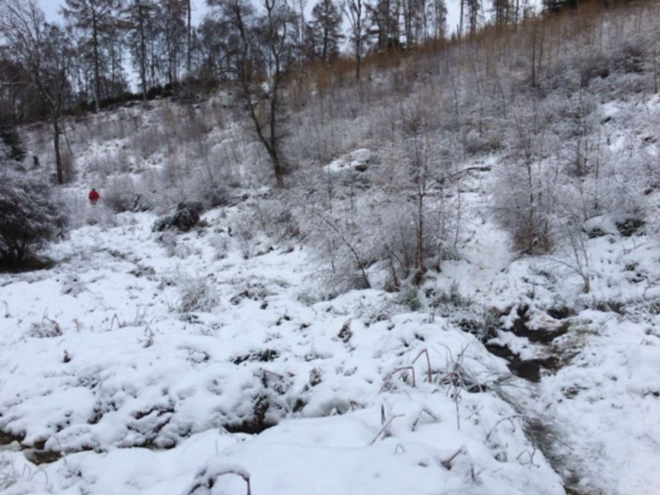Grantown on Spey, , Snowy lunchtime walk ...