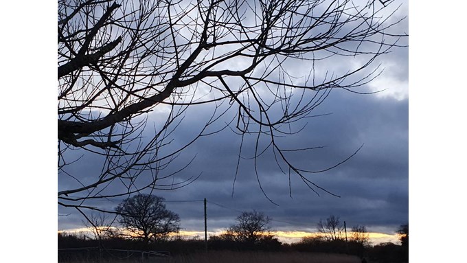 Wintry day. Posted by hilett1978