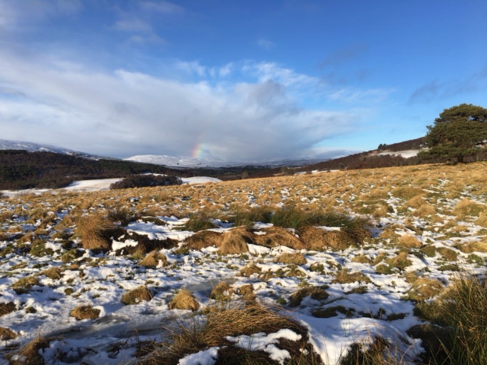 Grantown on Spey, , Rainbow ...