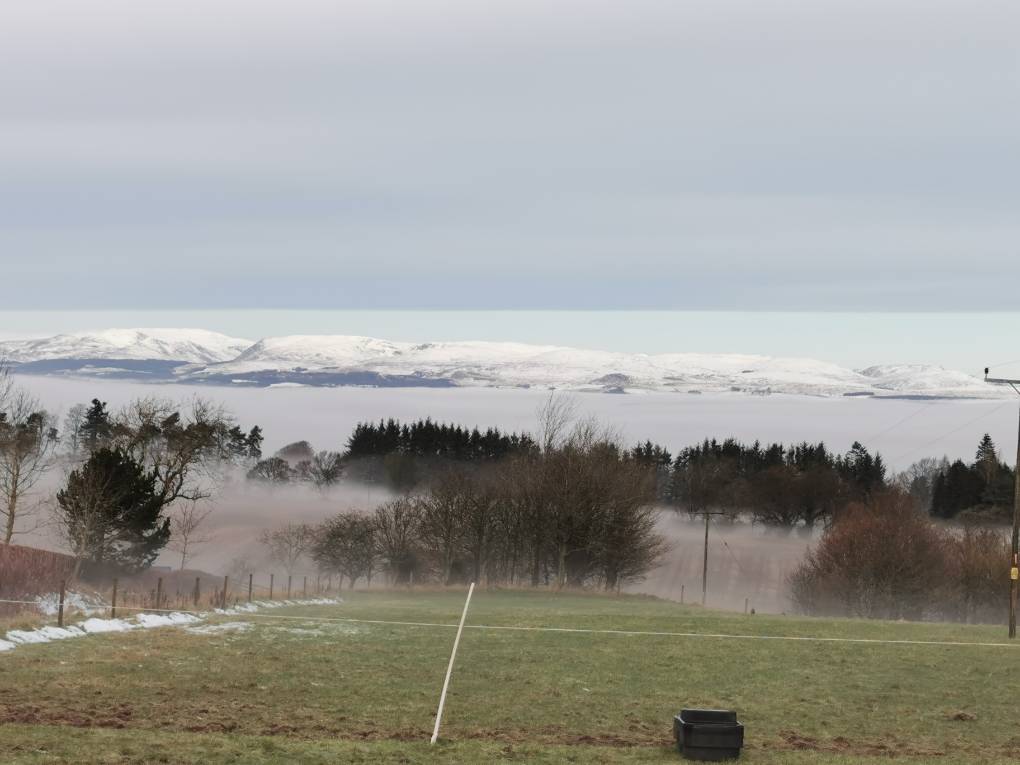 Auchterarder, , Frost here, mist in Strath, snow on hills...
