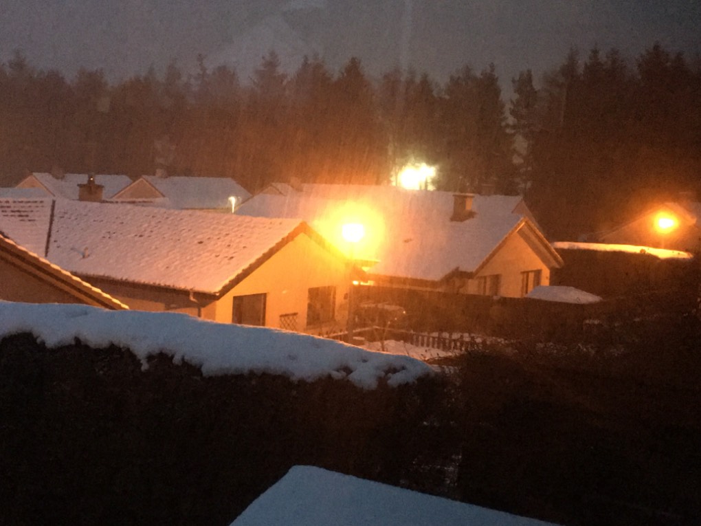 Grantown on Spey, , Lampost watching as another snow shower passes. ...