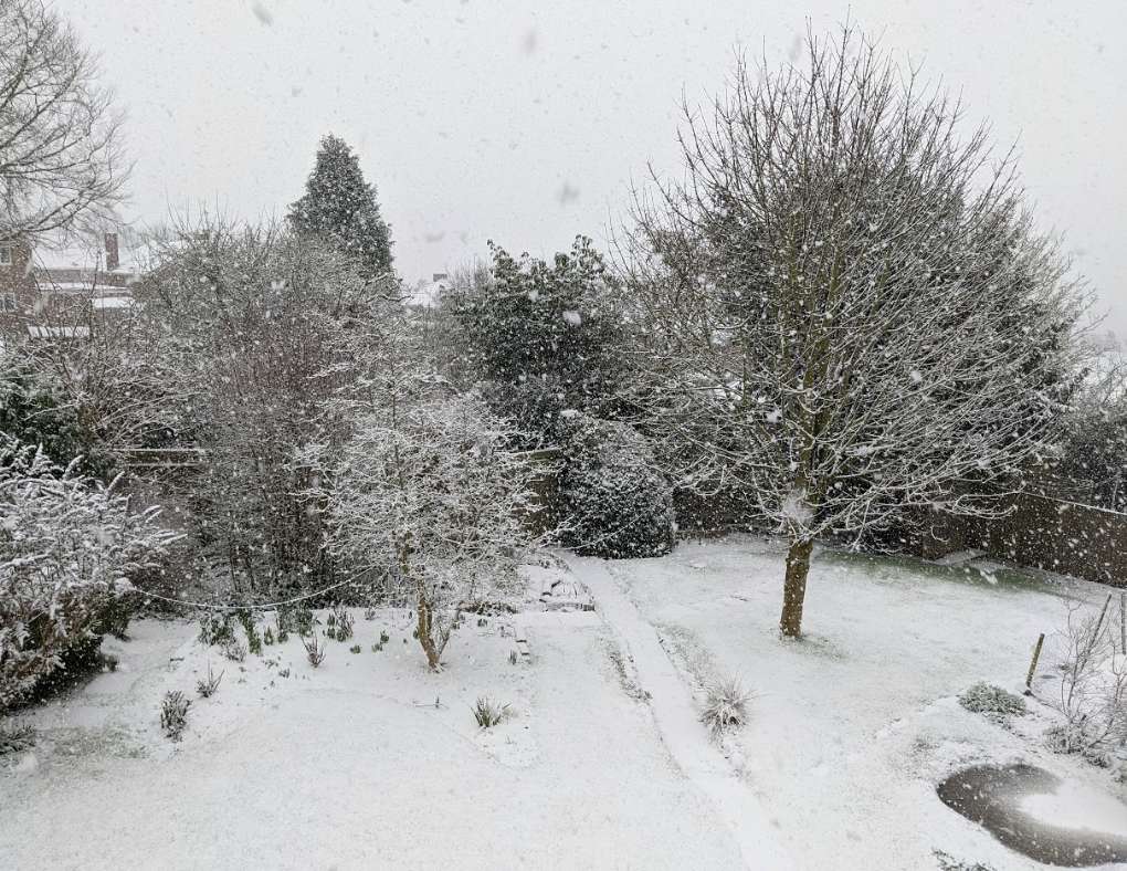 Berkhamsted, Herts, Snow falling thick and fast...