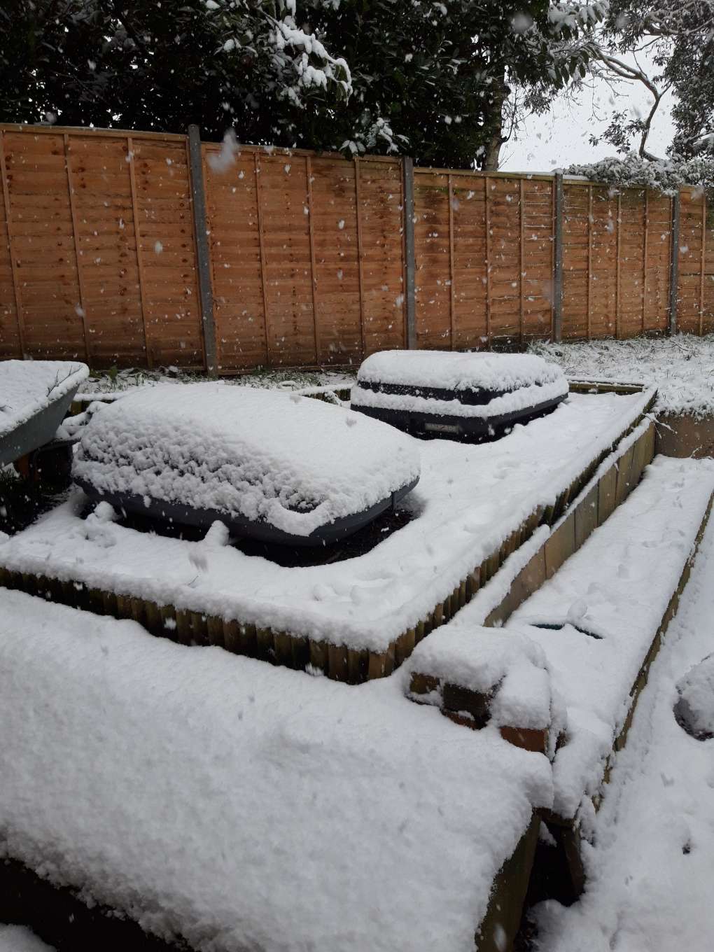 Guildford, Surrey, 10.45 24th Jan 21...