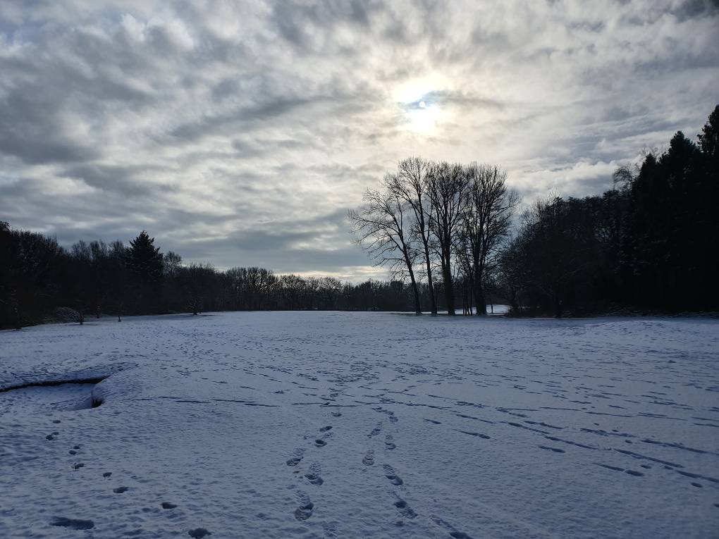 Cardiff, Cardiff, Snowy scene...