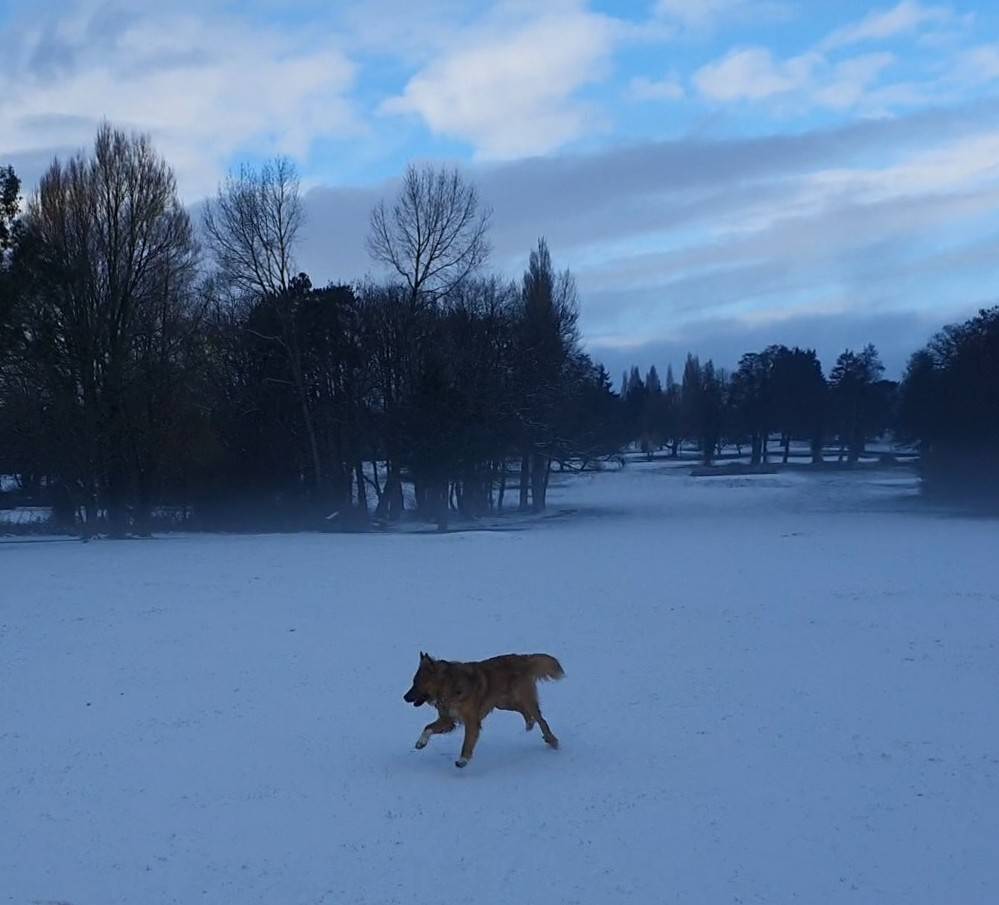 Cardiff, Cardiff, Snow fun...