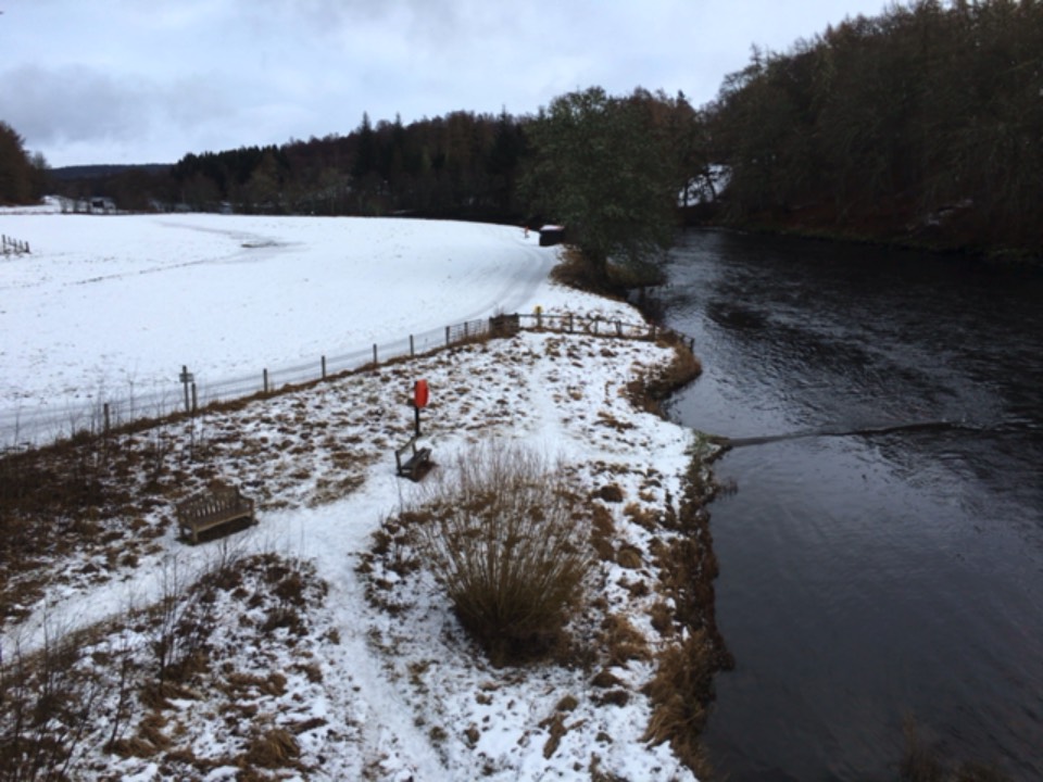 Grantown on Spey, , Field by the side of the River Spey...