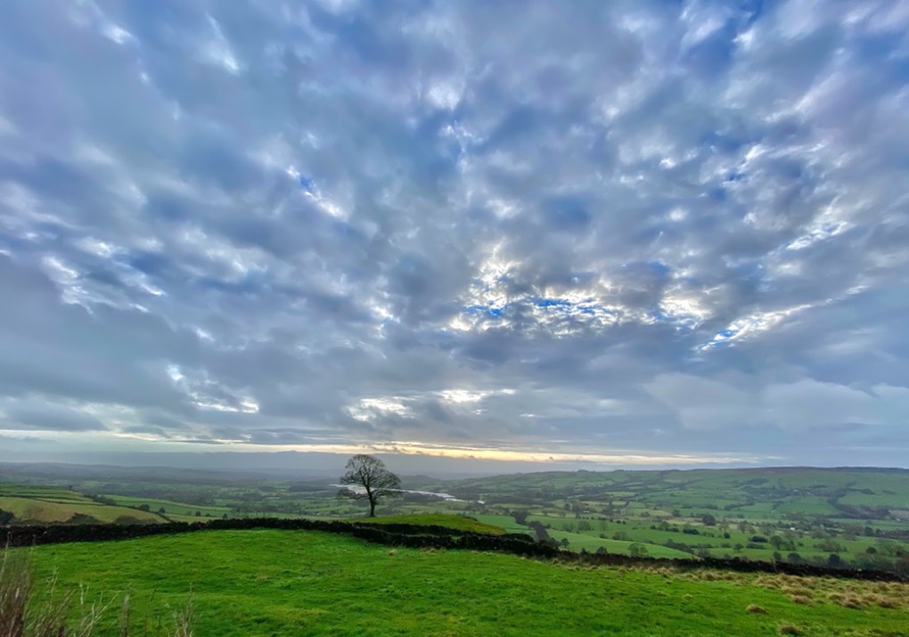 leek, staffordshire, spring like when the sun made an appearance today.....