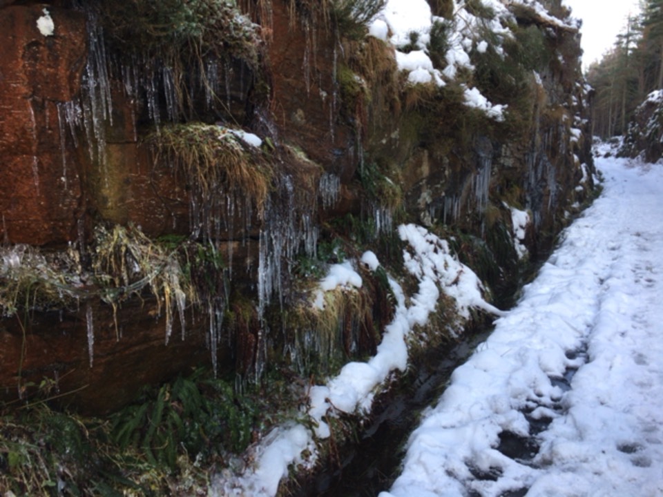 Grantown on Spey, , Icicles...