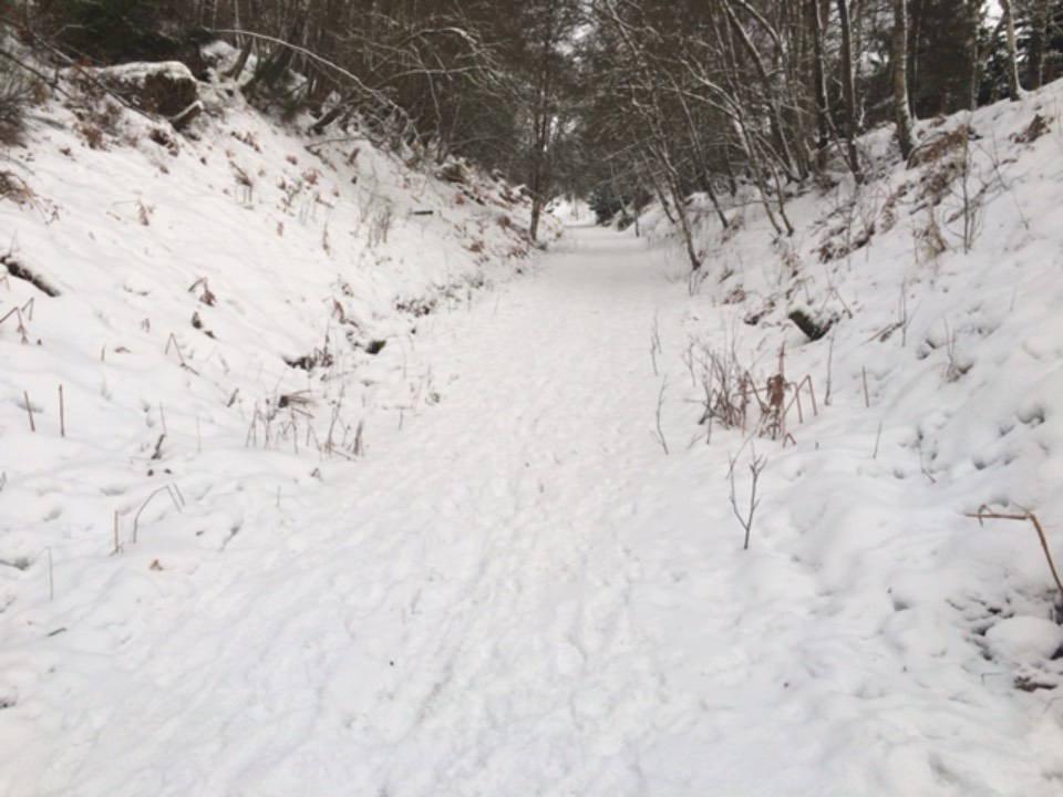 Grantown on Spey, Highland, Old railway line ...