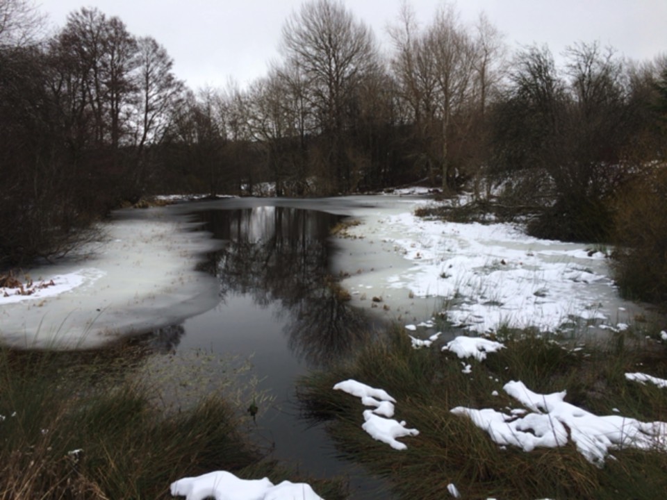 Grantown on Spey, , Icy pond...