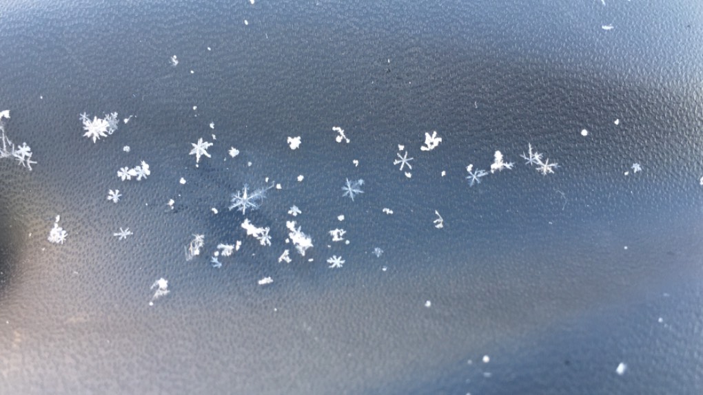 Grantown on Spey, Highland, Snowflakes on my bike seat!...