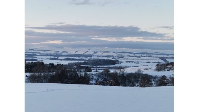Near to Auchterarder. A cold sunset over deep powder. Posted by Uncle Ted