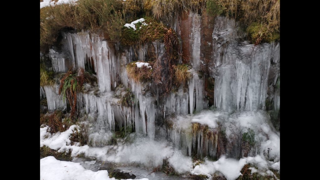 Grantown on Spey, Highland, Icicles along the railway line...