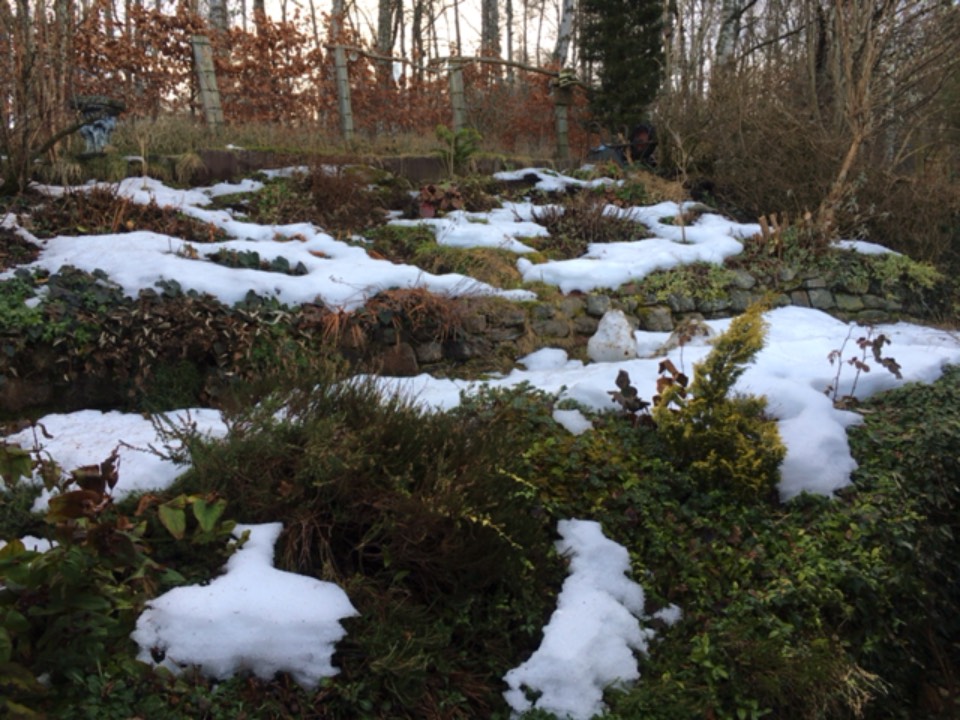 Grantown on Spey, , Snow in the garden lingering on.... ...