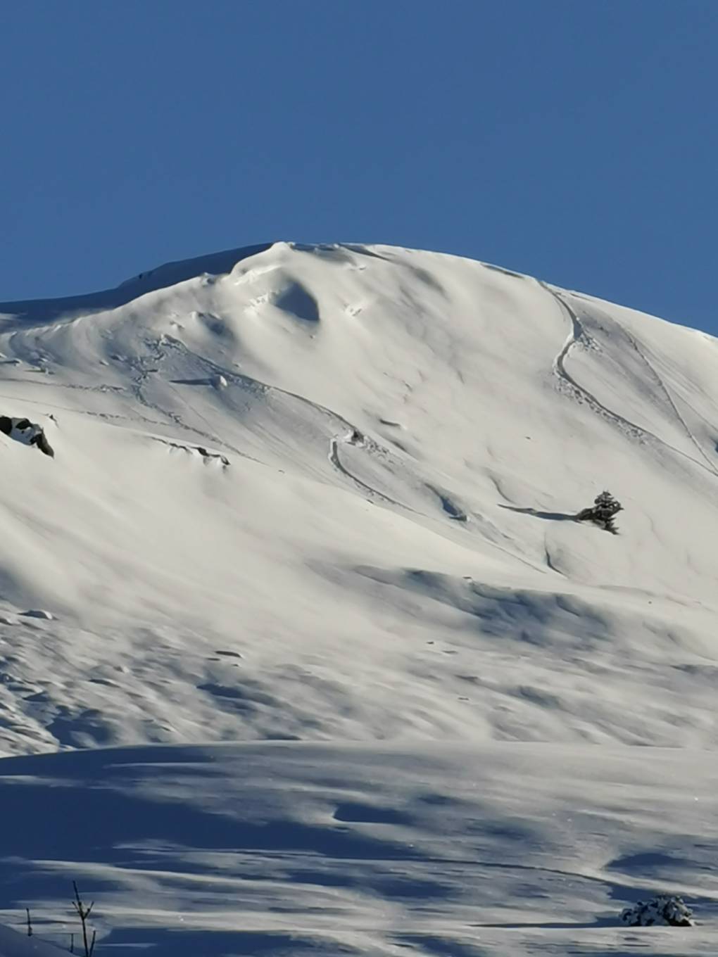 Auchterarder, , Ski tracks on hill (428m) behind farm last Thursday...