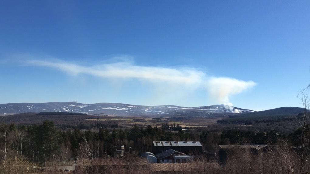 Grantown on Spey, , Only cloud in the sky - heather burning ...