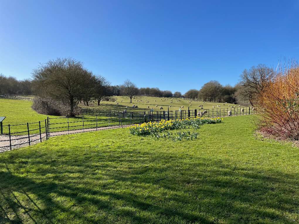 Milton Keynes, Buckinghamshire, Campbell Park...