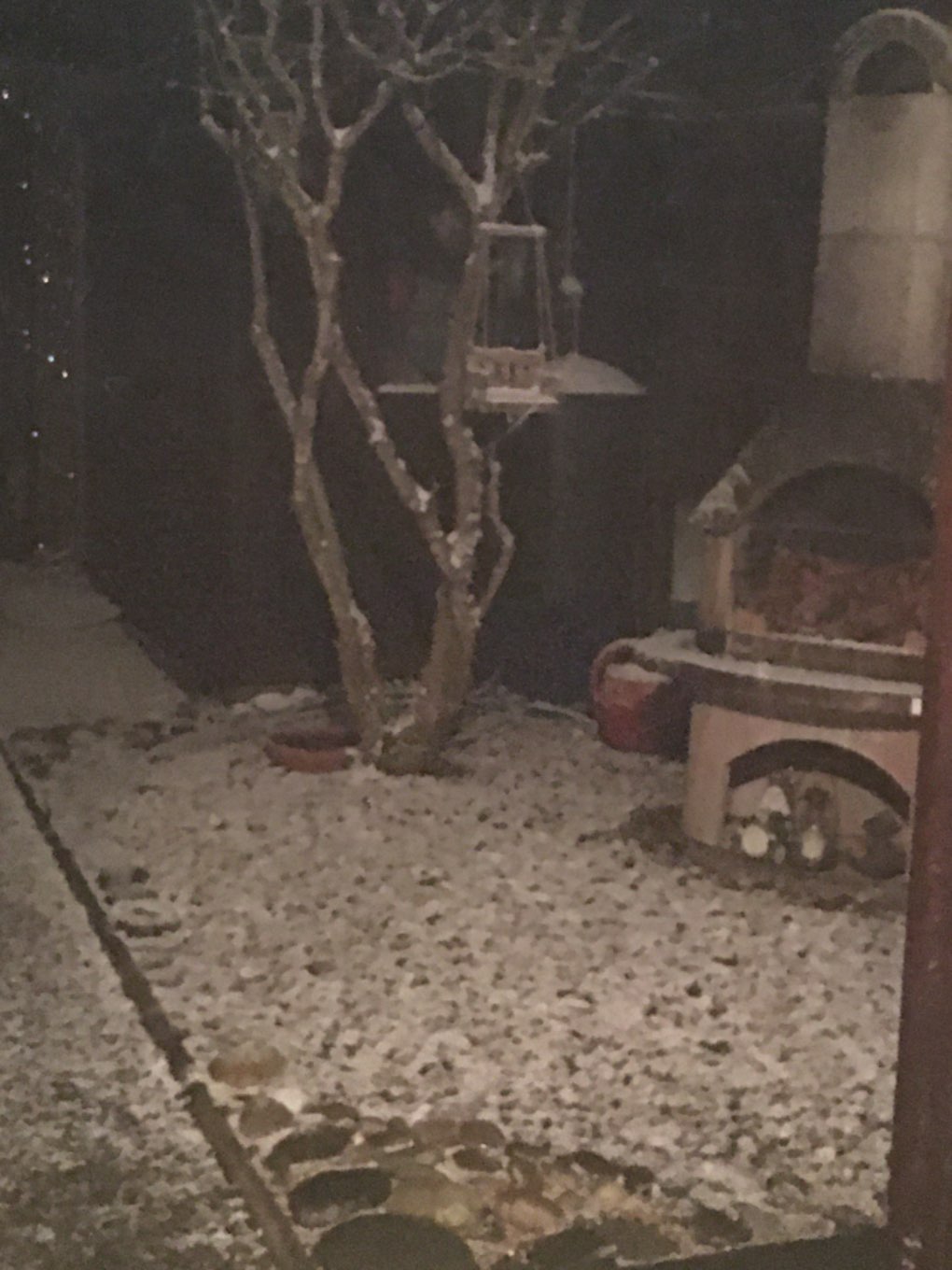 Grantown on Spey, , Snowing! ...