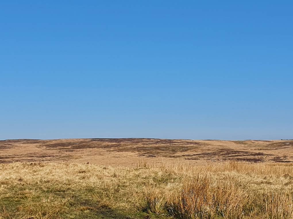 Brecon, Powys, Cloudless sky...