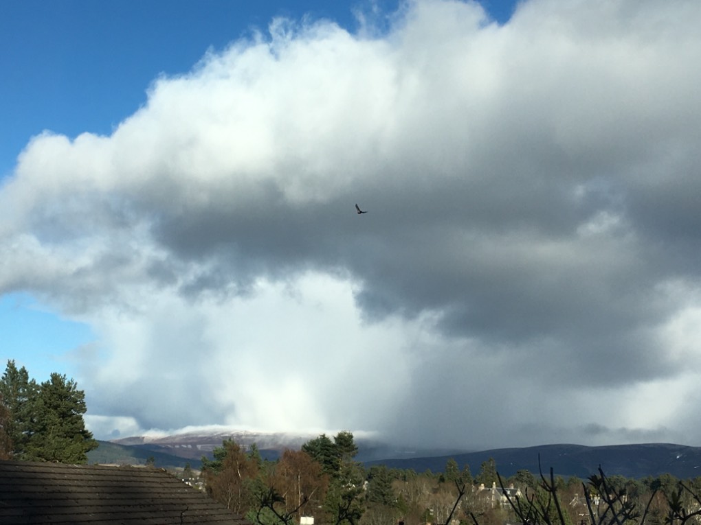 Grantown on Spey, , Snow shower on the hills ...