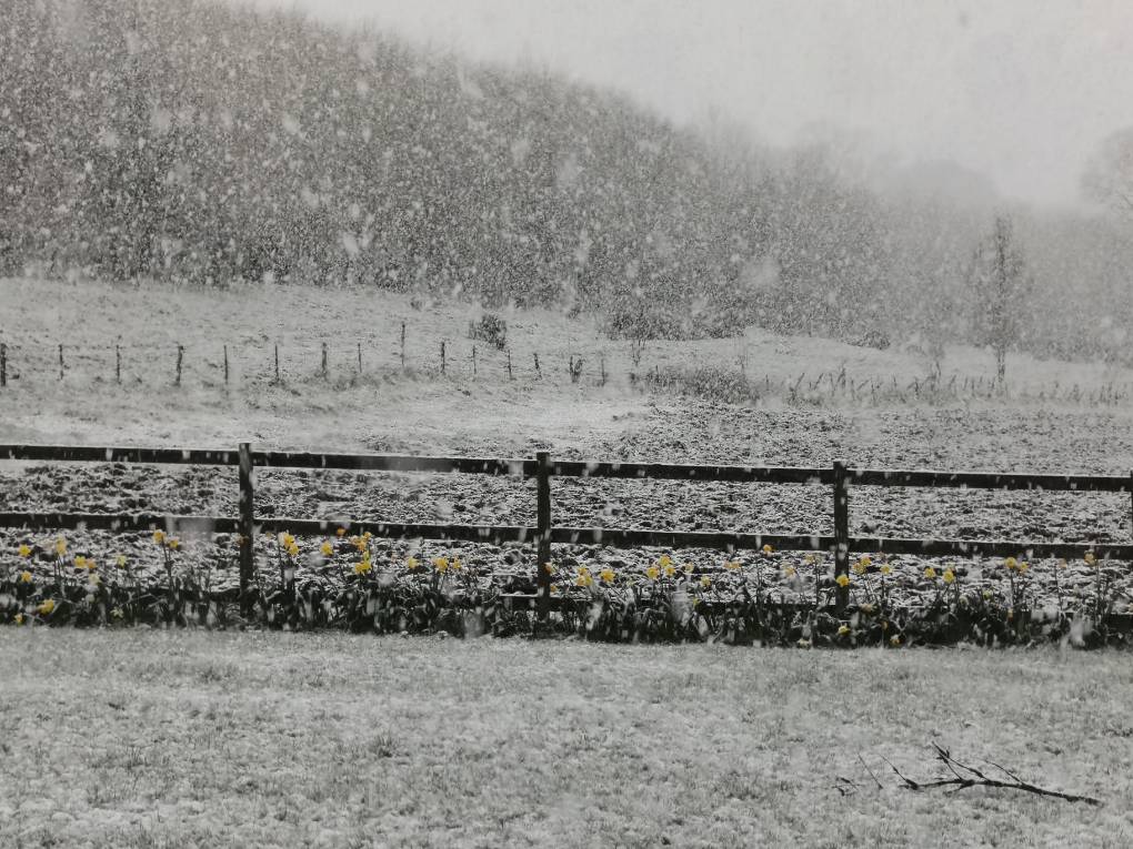 Auchterarder, , April shower...