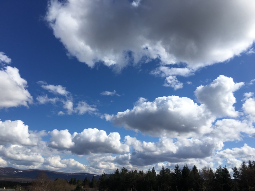 , , White puffy clouds! ...