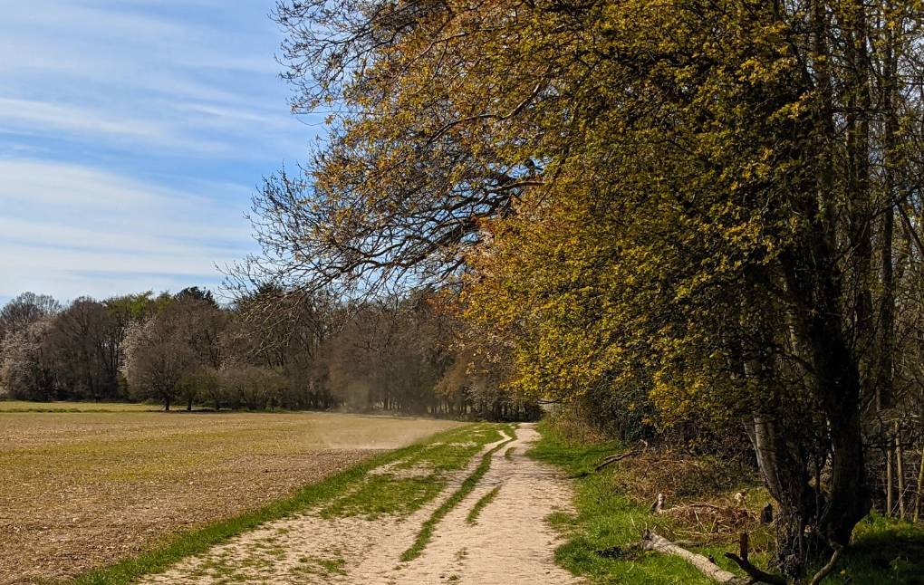 Berkhamsted, Herts, Looks like a dust devil...