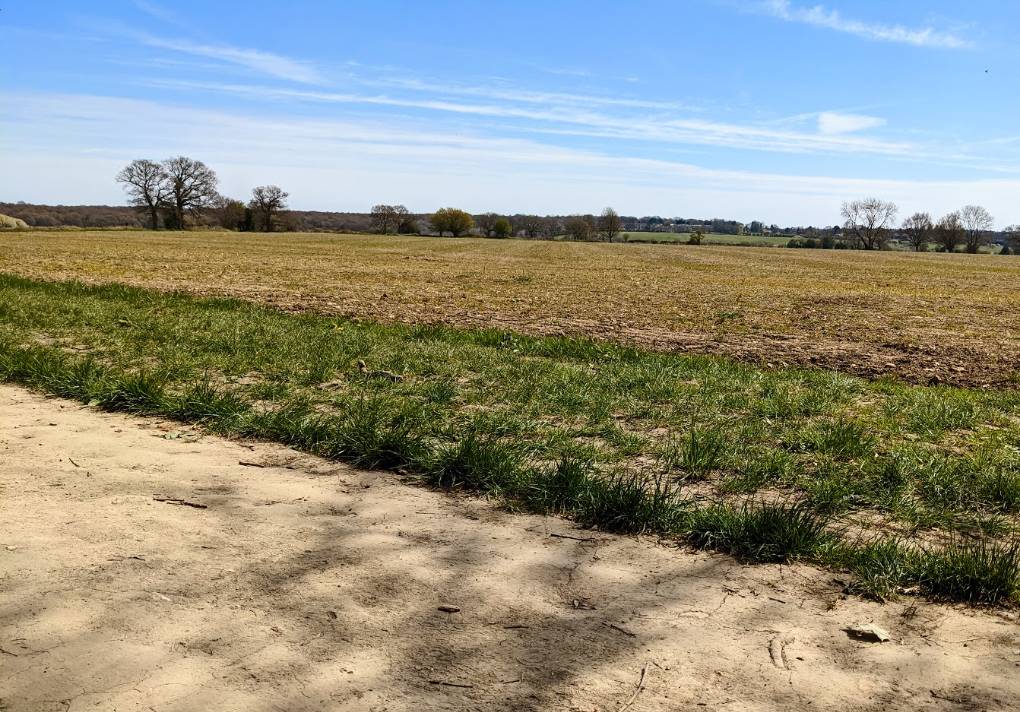 Berkhamsted, Herts, Very dry arable land...