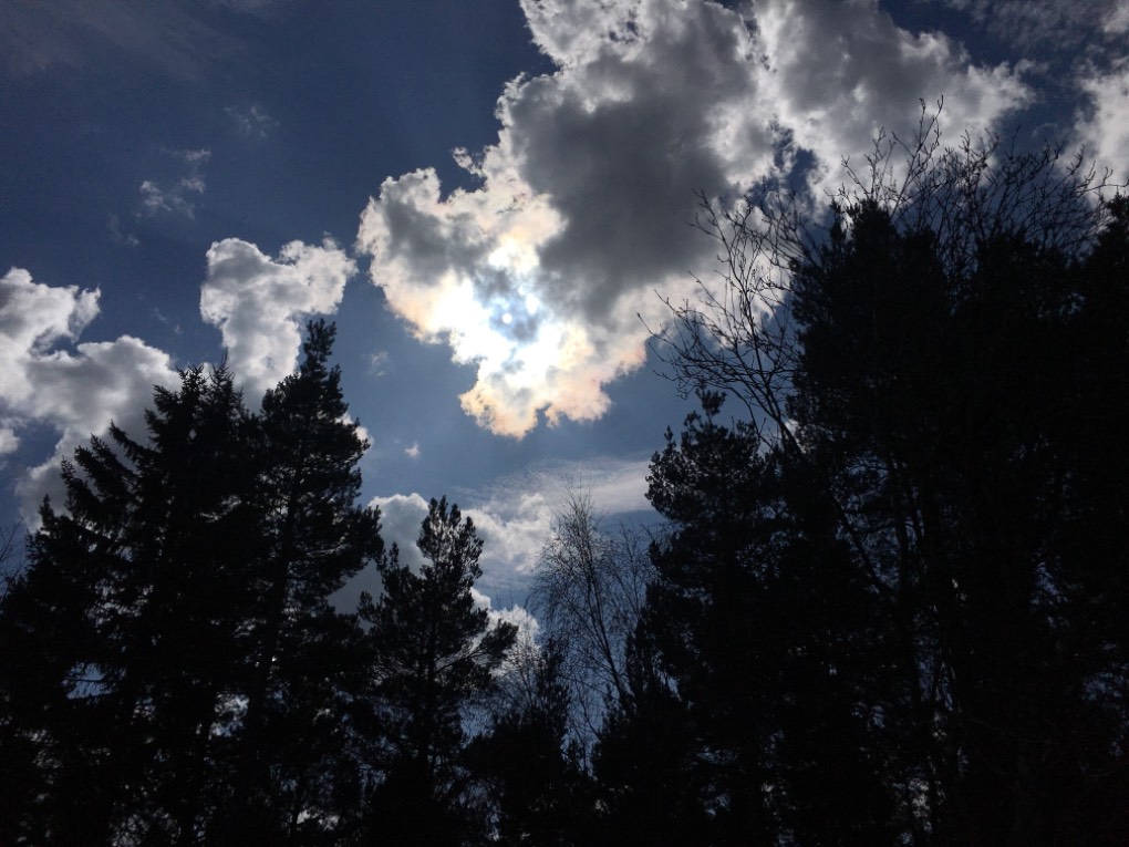 Grantown on Spey, , Some gorgeous iridescence. ...
