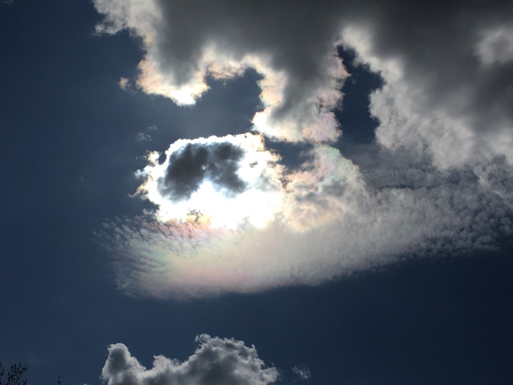 Grantown on Spey, , More nice iridescence. ...