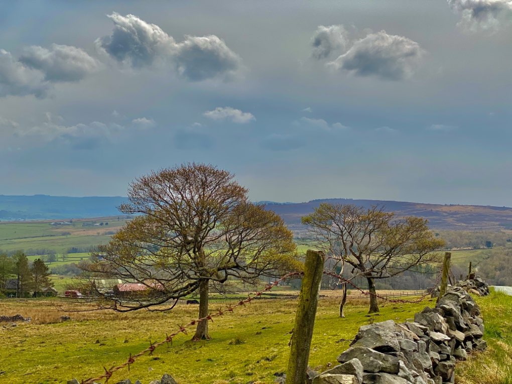 leek, staffordshire, A very chilly ENE wind across the tops today.....