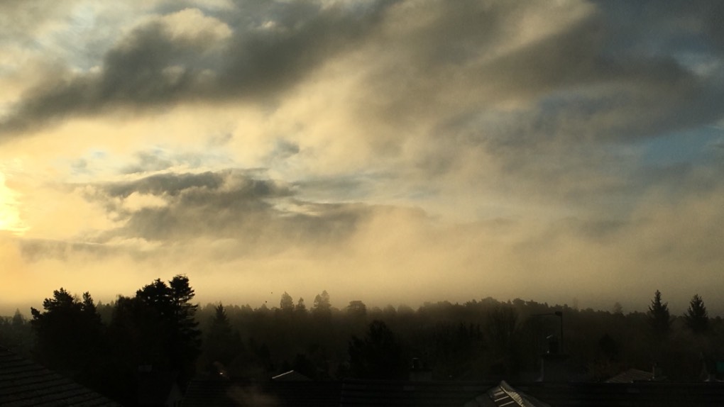 Grantown on Spey, , Misty morning ...