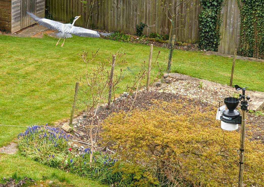 Berkhamsted, Herts, Weather station gets an unexpected visitor...