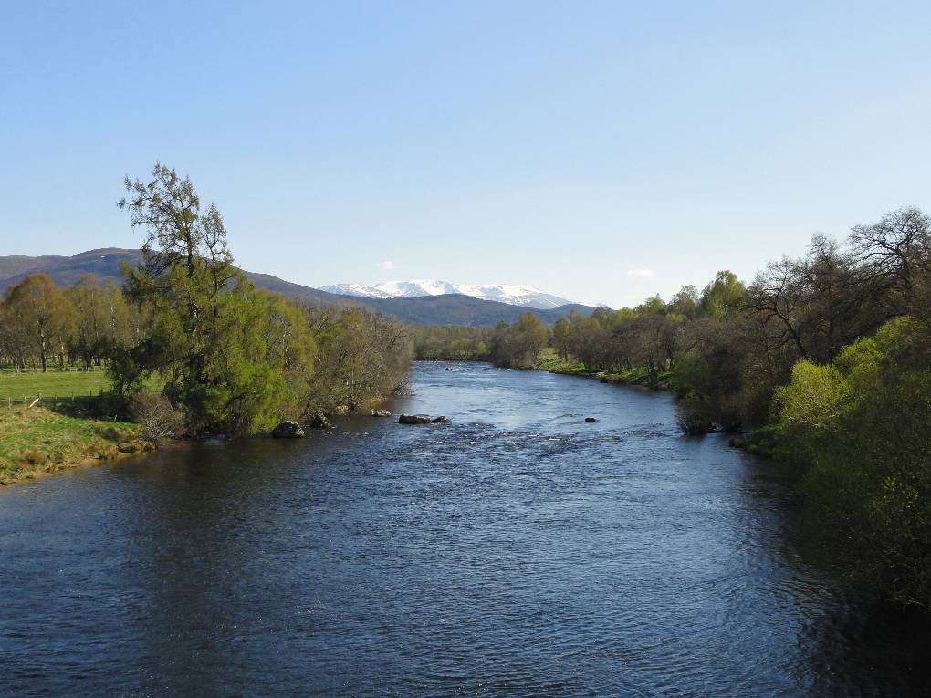 Boat of Garten, Strathspey, From bridge over R Spey looking S towards Cairngorms 9 May 2016...